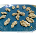 Walnut Kernels Light Quarters LQ for Sales